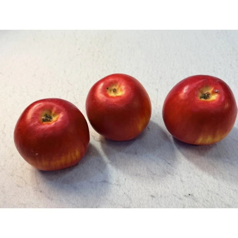 Faux Red Apples Lot of 15 Realistic Decorative Fake Fruit Display Staging Props